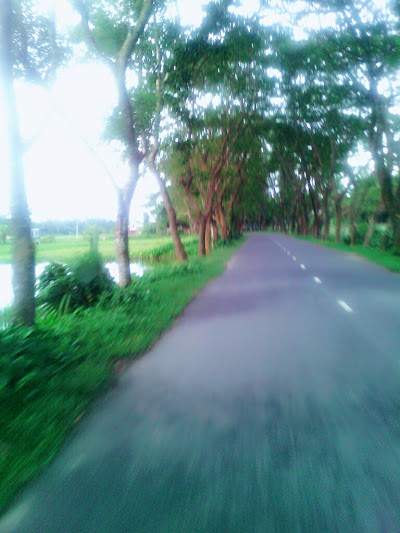Photos of Dhanshiri ধানসিড়ি