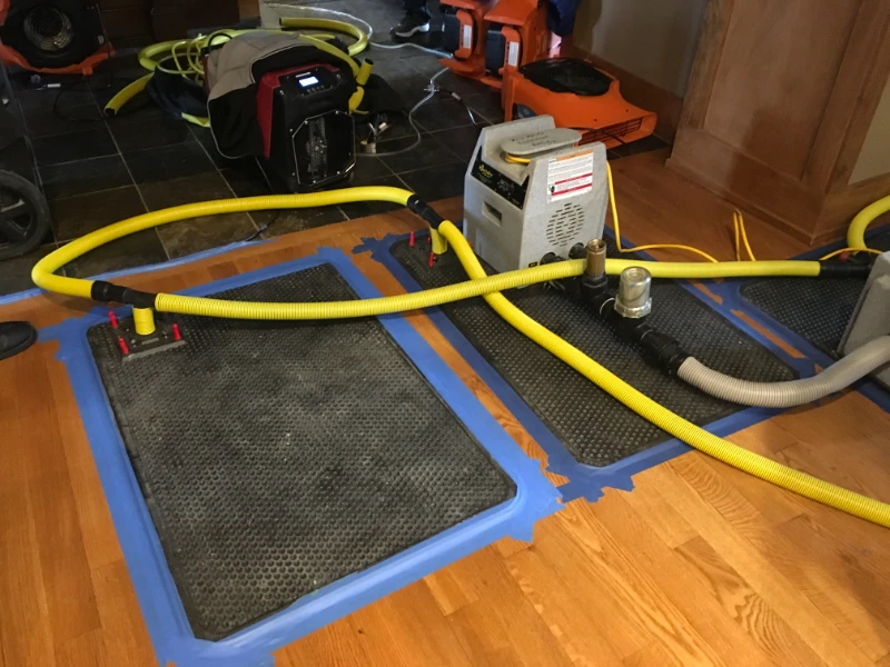Complete Carpet Care & Restoration photo