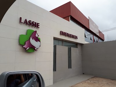 Photos of Veterinaria Lasie