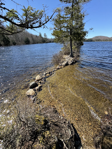 Ricker Pond's Lookout - Thumbnail