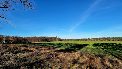 Staffelder Feld - Visual