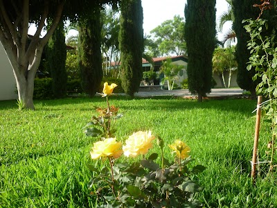 Photos of Colegio de Bachilleres del Estado de Morelos