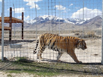 Safe Haven Wildlife Sanctuary