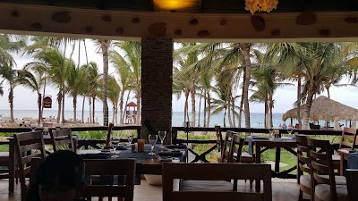 Photos of Dreams Punta Cana Resort & Spa