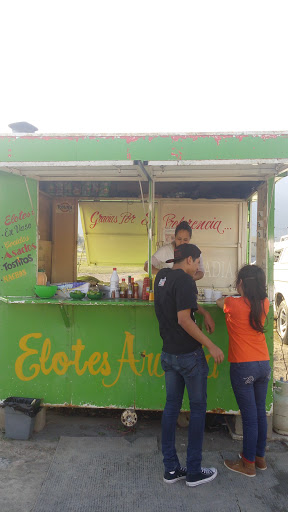 Elotes Arcadia - Thumbnail