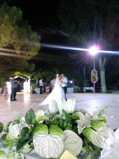 Photos of T&uuml;rkmenkızı D&uuml;ğ&uuml;n Salonu, Restoran, Piknik Alanı