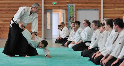 Dojo Valence - arts martiaux et bien-être Logo