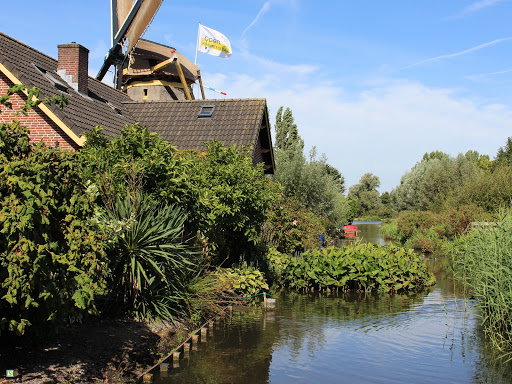 Veenmolen - Thumbnail