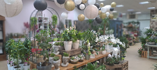 Le Comptoir des Fleurs à Courcelles les Lens - Thumbnail