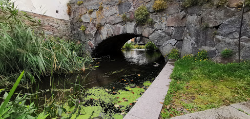 Rosénparken - Thumbnail