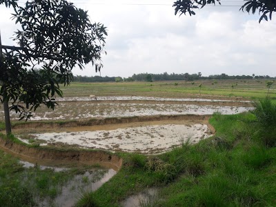 Photos of BGB camp, kolmudanga