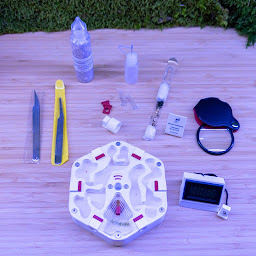 Photo n°13 de FourmiCurieuse | Fourmilière à acheter à Isigny-sur-Mer (Magasin d'articles de loisirs)