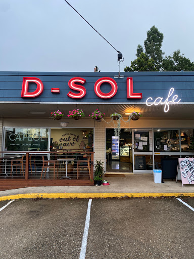 D-SOL - Visual