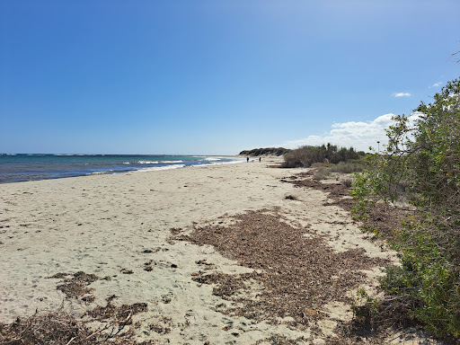 Bob Davies Park - Thumbnail