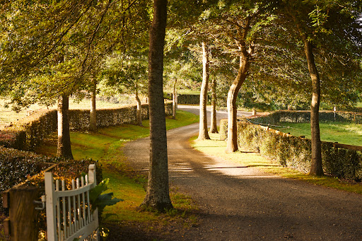 Hedges Estate - Thumbnail