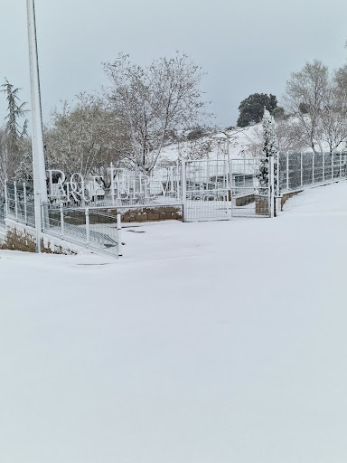 Felipe VI Park - Thumbnail