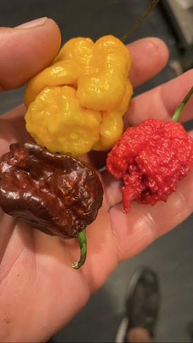 Comentarii opinii despre Famous 2 Bar & Dinner