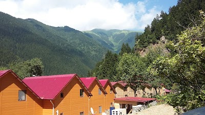 lodging