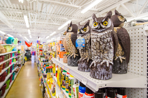 Ace Hardware of Tamarac Square - Thumbnail