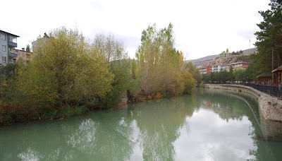 Bayburt University