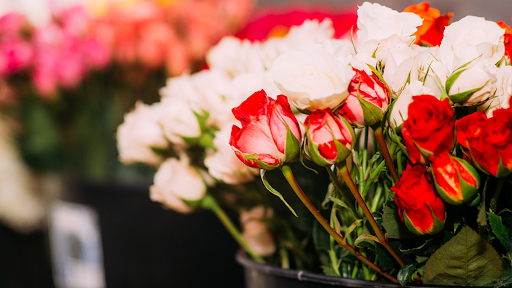 The Flower Loft - Visual