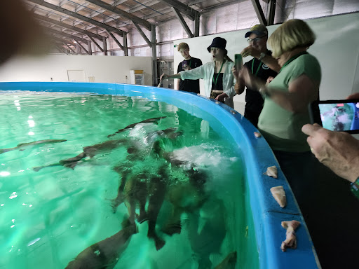 Les Wilson Barramundi Discovery Centre - Thumbnail