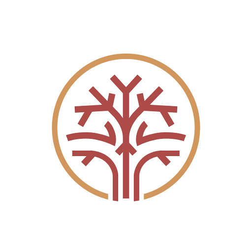 Solano&Vicente Estudio Dental