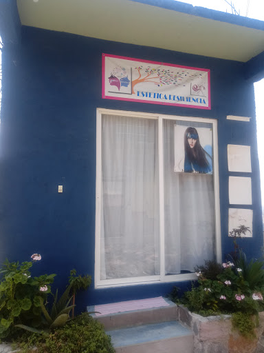 Estetica resiliencia