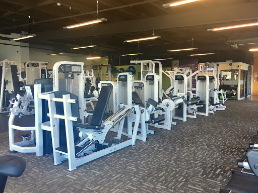 Anytime Fitness Hamilton Central - Thumbnail