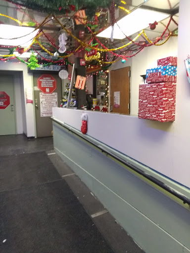 Studio 253 - Visual