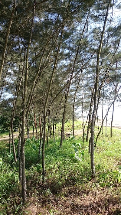 Photos of Pantai Guntung