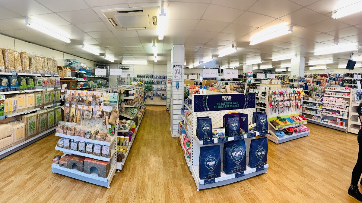 Pets Corner Eastleigh interior