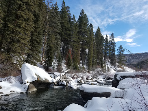 Sarvis Creek Trail