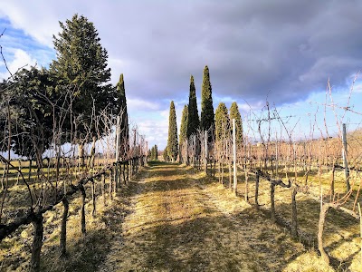 Capitoni Marco | Azienda Agraria