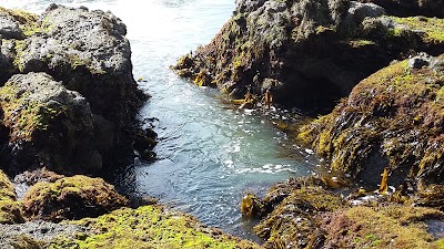 Photos of Shaws Cove, Laguna Beach