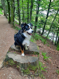 Photo n°1 de De La Passion Fulcrum à Wambercourt (Ferme d'élevage)
