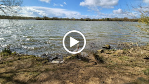 Ferry Meadows Cafe photo
