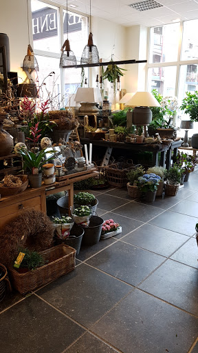 Simone Bloem En Woondecoraties Lenssen Gallery - Netherlands