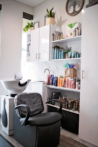 TOTAL SALON Studios - Visual