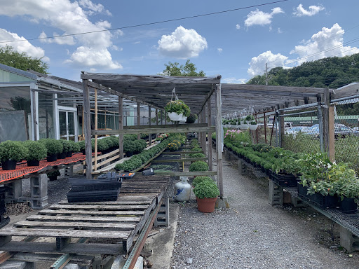 Cheese & Garden Shop - Thumbnail