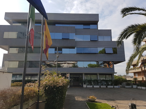 Noleggio Auto Roma | GoGoCar