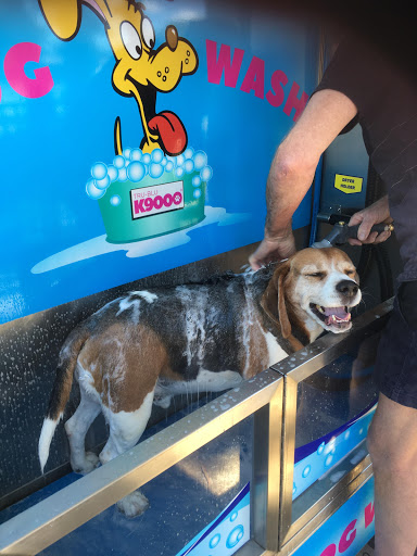 BIG4 Marong Dog Wash - Thumbnail