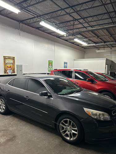 Mr. Clean Motors & Rentals