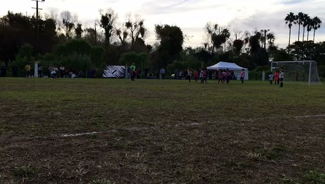 Opiniones de Cancha de River Plate Rocha en Maldonado - Campo de fútbol