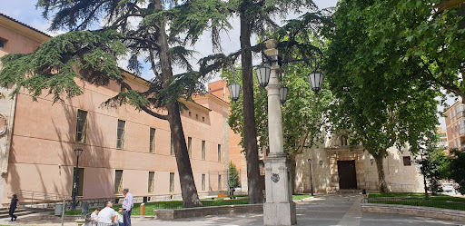Cedros centenarios - Thumbnail