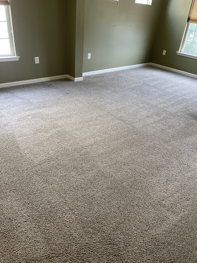 Feet Up Carpet Cleaning Oakton