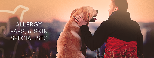 VETDERM Clinic - Veterinary Dermatology & Ear Referral Medical Clinic