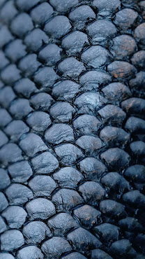 Yugo The Bunker by null