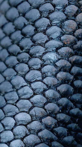 Yugo The Bunker by null