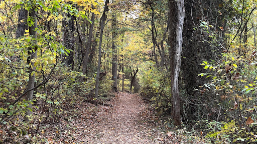 Fox Hollow Trailhead - United States
